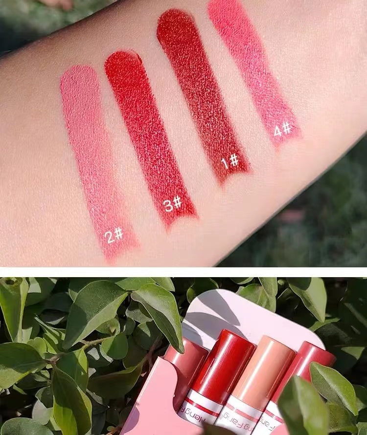 Cigarette Shape Makeup Series of 4 lipstick Makeup Set